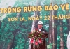 Phó Thủ tướng Hoàng Trung Hải phát động lễ trồng rừng bảo vệ môi trường thủy điện